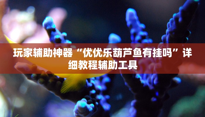 玩家辅助神器“优优乐葫芦鱼有挂吗”详细教程辅助工具