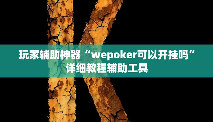 玩家辅助神器“wepoker可以开挂吗”详细教程辅助工具