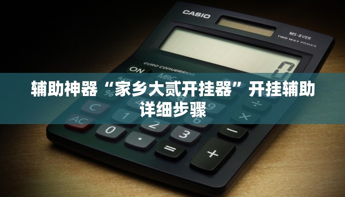 辅助神器“家乡大贰开挂器”开挂辅助详细步骤