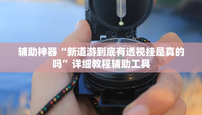 辅助神器“新道游到底有透视挂是真的吗”详细教程辅助工具