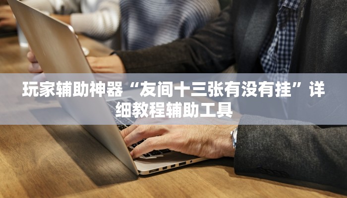 玩家辅助神器“友间十三张有没有挂”详细教程辅助工具