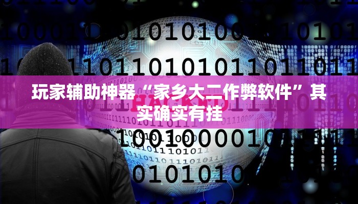 玩家辅助神器“家乡大二作弊软件”其实确实有挂