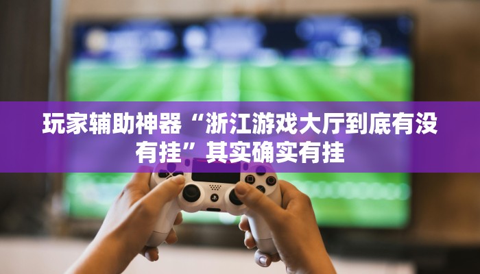 玩家辅助神器“浙江游戏大厅到底有没有挂”其实确实有挂
