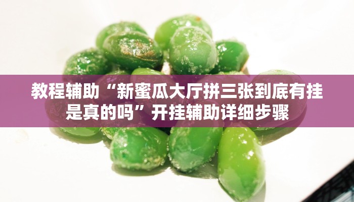 教程辅助“新蜜瓜大厅拼三张到底有挂是真的吗”开挂辅助详细步骤