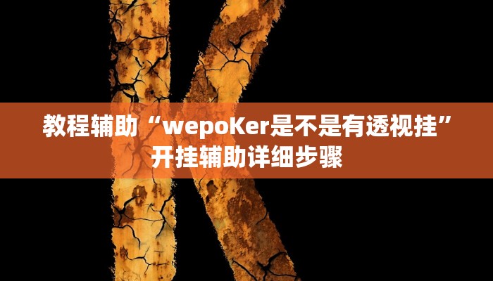 教程辅助“wepoKer是不是有透视挂”开挂辅助详细步骤
