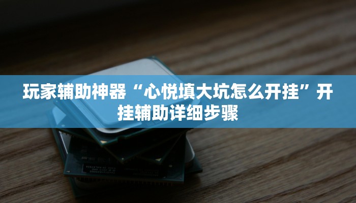 玩家辅助神器“心悦填大坑怎么开挂”开挂辅助详细步骤