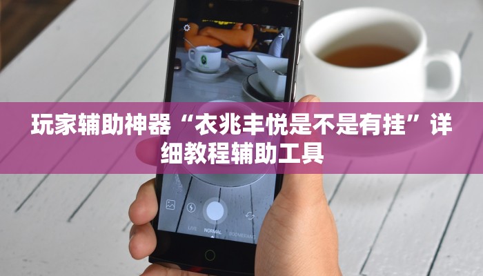 玩家辅助神器“衣兆丰悦是不是有挂”详细教程辅助工具