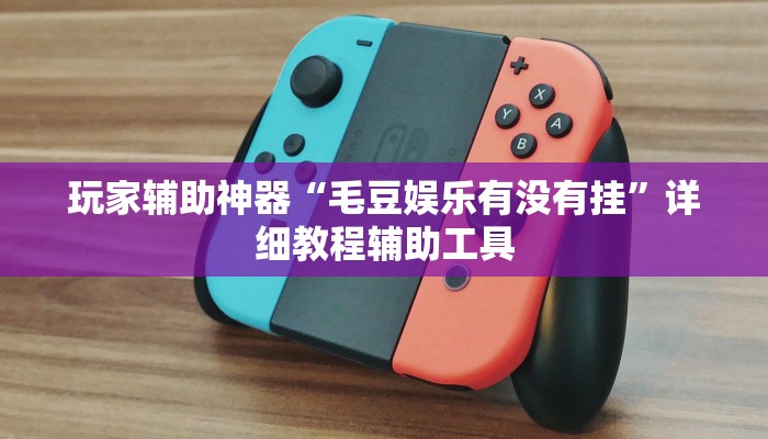 玩家辅助神器“毛豆娱乐有没有挂”详细教程辅助工具