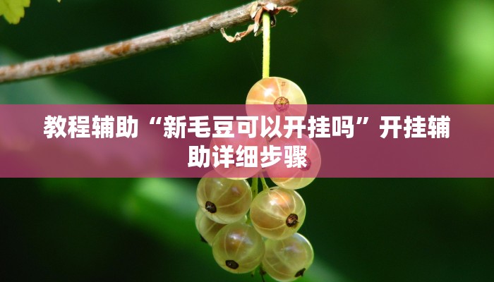 教程辅助“新毛豆可以开挂吗”开挂辅助详细步骤