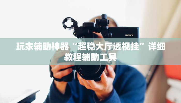 玩家辅助神器“超稳大厅透视挂”详细教程辅助工具