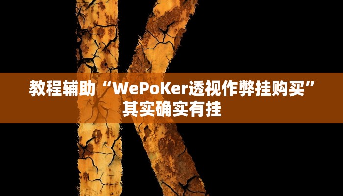 教程辅助“WePoKer透视作弊挂购买”其实确实有挂
