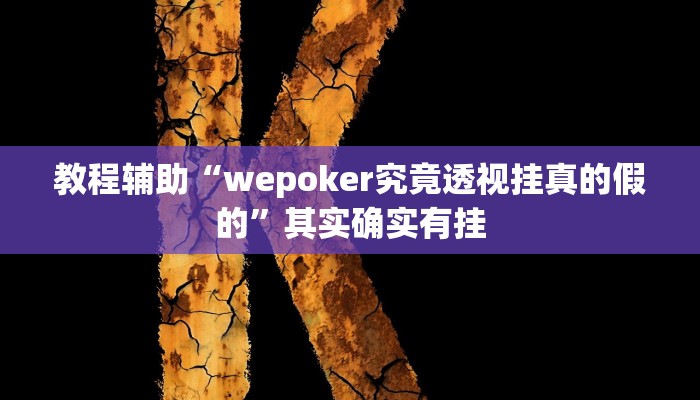 教程辅助“wepoker究竟透视挂真的假的”其实确实有挂
