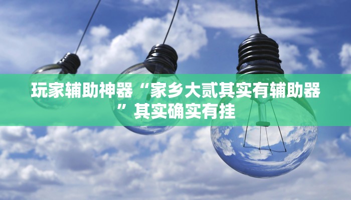 玩家辅助神器“家乡大贰其实有辅助器”其实确实有挂