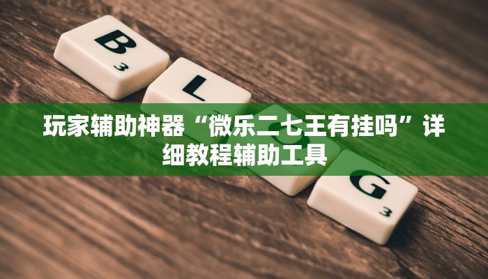 玩家辅助神器“微乐二七王有挂吗”详细教程辅助工具