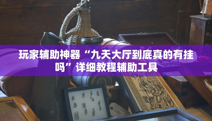 玩家辅助神器“九天大厅到底真的有挂吗”详细教程辅助工具