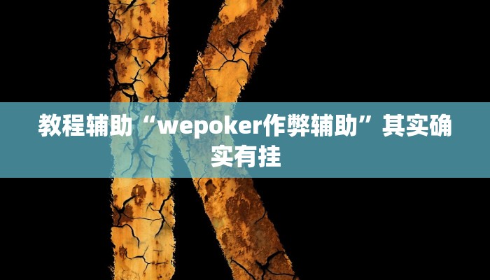 教程辅助“wepoker作弊辅助”其实确实有挂