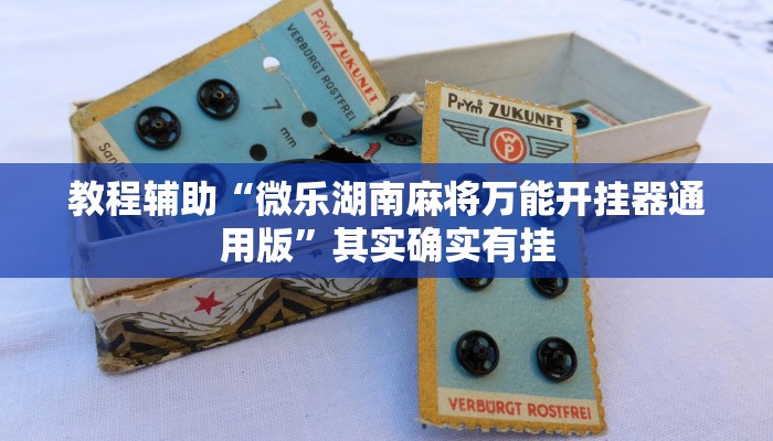 教程辅助“微乐湖南麻将万能开挂器通用版”其实确实有挂