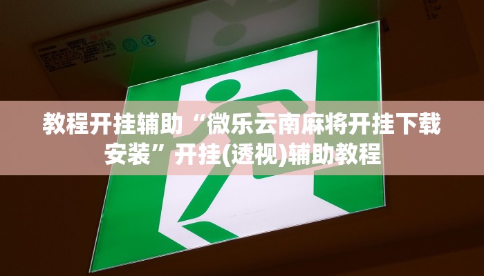 教程开挂辅助“微乐云南麻将开挂下载安装”开挂(透视)辅助教程