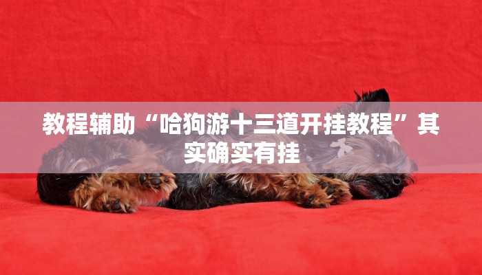 教程辅助“哈狗游十三道开挂教程”其实确实有挂