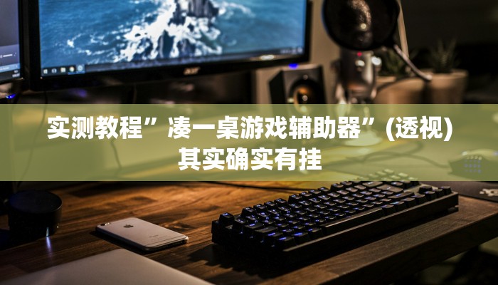 实测教程”凑一桌游戏辅助器”(透视)其实确实有挂