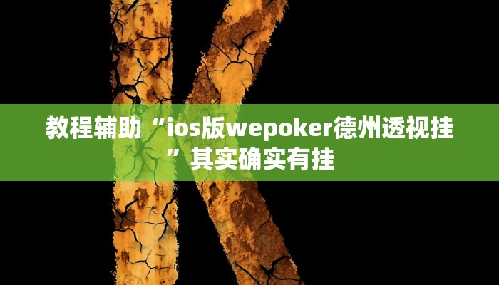 教程辅助“ios版wepoker德州透视挂”其实确实有挂