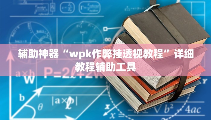 辅助神器“wpk作弊挂透视教程”详细教程辅助工具