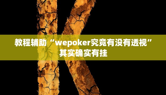 教程辅助“wepoker究竟有没有透视”其实确实有挂