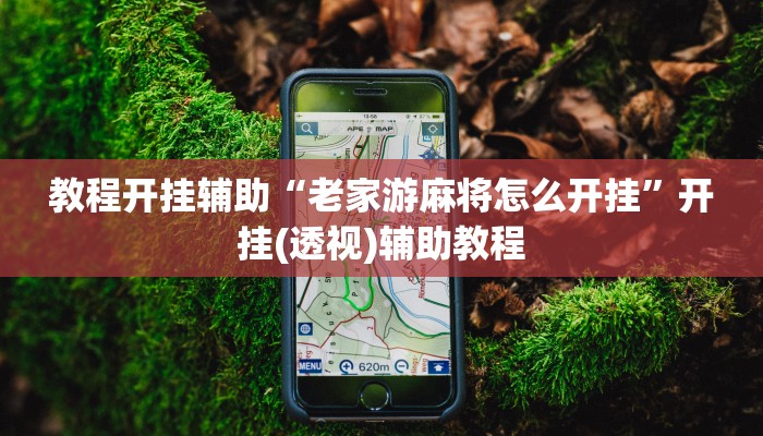 教程开挂辅助“老家游麻将怎么开挂”开挂(透视)辅助教程