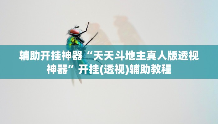 辅助开挂神器“天天斗地主真人版透视神器”开挂(透视)辅助教程