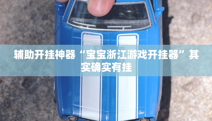 辅助开挂神器“宝宝浙江游戏开挂器”其实确实有挂