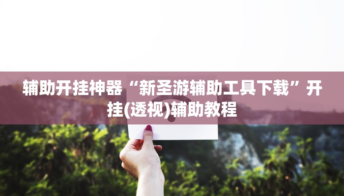 辅助开挂神器“新圣游辅助工具下载”开挂(透视)辅助教程