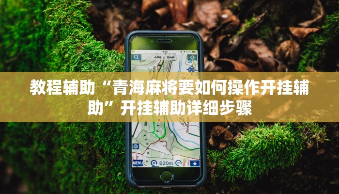 教程辅助“青海麻将要如何操作开挂辅助”开挂辅助详细步骤 教程辅助“青海麻将要如何操作开挂辅助”开挂辅助详细步骤