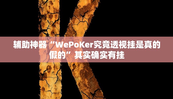 辅助神器“WePoKer究竟透视挂是真的假的”其实确实有挂