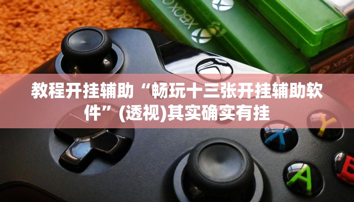 教程开挂辅助“畅玩十三张开挂辅助软件”(透视)其实确实有挂