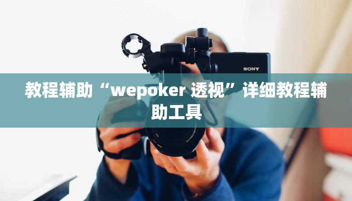 教程辅助“wepoker 透视”详细教程辅助工具