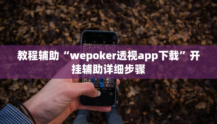 教程辅助“wepoker透视app下载”开挂辅助详细步骤