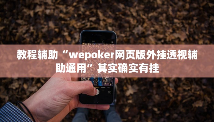 教程辅助“wepoker网页版外挂透视辅助通用”其实确实有挂