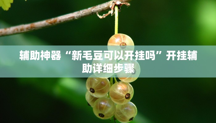 辅助神器“新毛豆可以开挂吗”开挂辅助详细步骤 辅助神器“新毛豆可以开挂吗”开挂辅助详细步骤