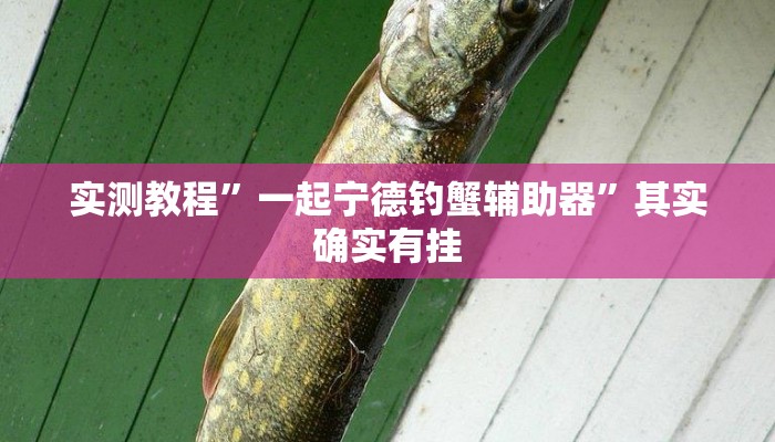 辅助开挂神器“新绍兴麻将可以开挂吗”(透视)其实确实有挂