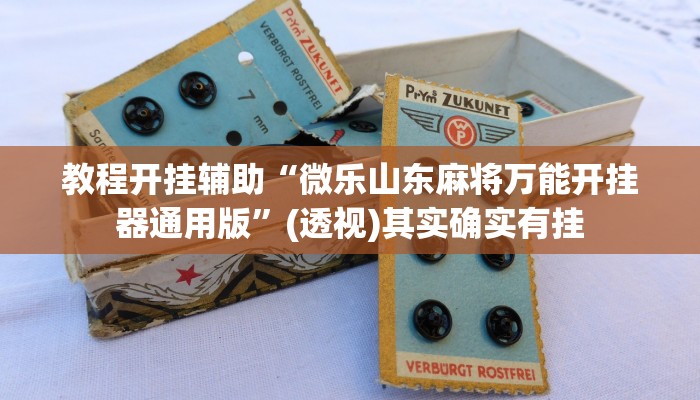 教程开挂辅助“微乐山东麻将万能开挂器通用版”(透视)其实确实有挂 教程开挂辅助“微乐山东麻将万能开挂器通用版”(透视)其实确实有挂