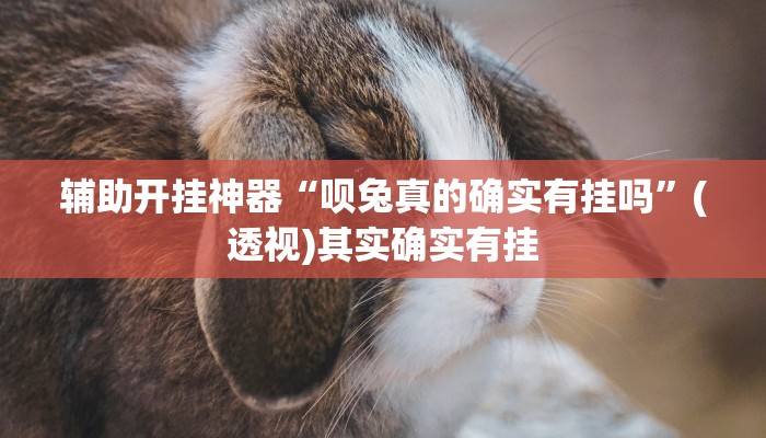 辅助神器“安乡偎麻雀麻将开挂神器”其实确实有挂