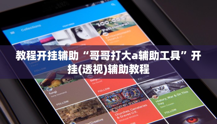 教程开挂辅助“哥哥打大a辅助工具”开挂(透视)辅助教程