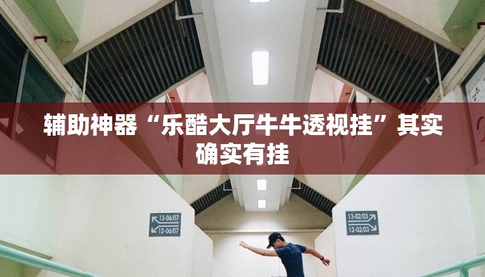 辅助神器“乐酷大厅牛牛透视挂”其实确实有挂