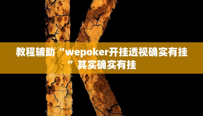 教程辅助“wepoker开挂透视确实有挂”其实确实有挂