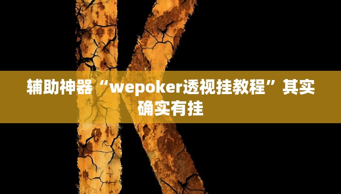 辅助神器“wepoker透视挂教程”其实确实有挂 辅助神器“wepoker透视挂教程”其实确实有挂