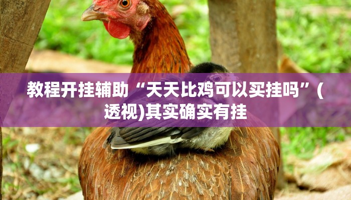 教程开挂辅助“天天比鸡可以买挂吗”(透视)其实确实有挂