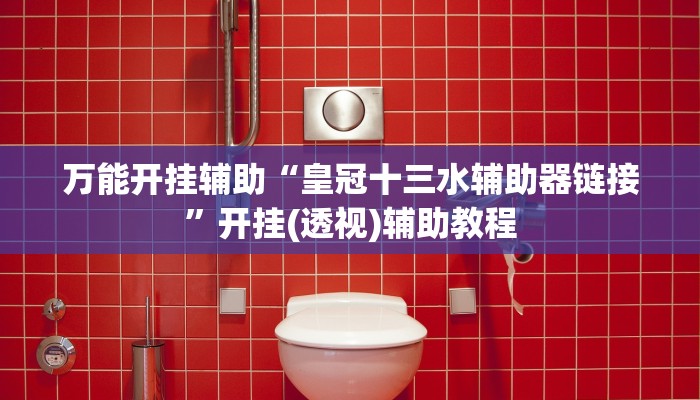 万能开挂辅助“皇冠十三水辅助器链接”开挂(透视)辅助教程