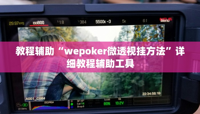 教程辅助“wepoker微透视挂方法”详细教程辅助工具