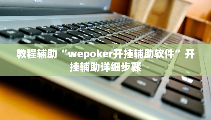 教程辅助“wepoker开挂辅助软件”开挂辅助详细步骤