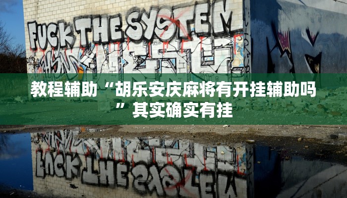 教程辅助“胡乐安庆麻将有开挂辅助吗”其实确实有挂